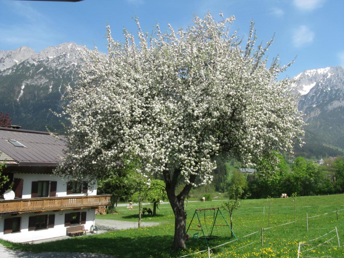 Bauernhof Neu-Endfelden, Guenter Widauer Villa Soll Bagian luar foto