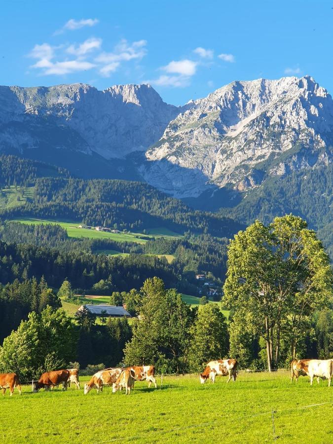 Bauernhof Neu-Endfelden, Guenter Widauer Villa Soll Bagian luar foto